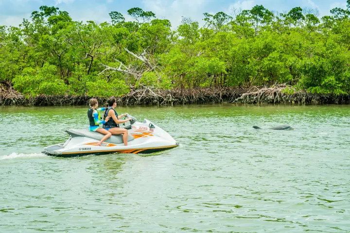 people on a jet ski in a body of water