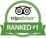 tripadvisor logo