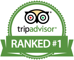 TripAdvisor Ranked #1 badge